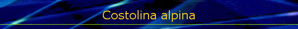 Costolina alpina